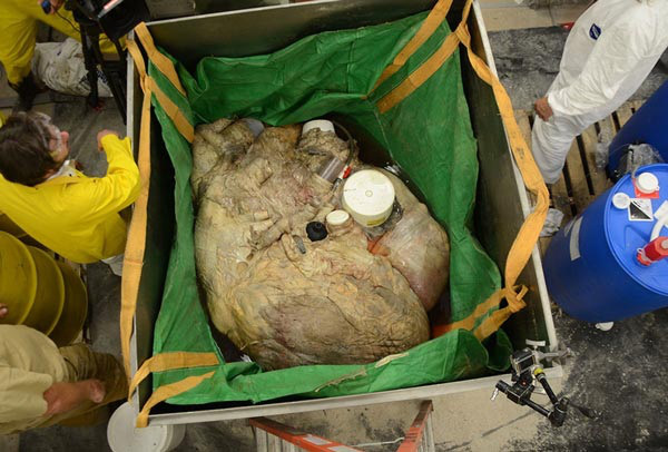 Loạt ảnh chứng minh Tr&aacute;i đất c&oacute; những điều v&ocirc; c&ugrave;ng kỳ lạ ngo&agrave;i sức tưởng tượng m&agrave; nằm mơ bạn cũng kh&ocirc;ng thể ngờ ch&uacute;ng lại tồn tại - Ảnh 21.