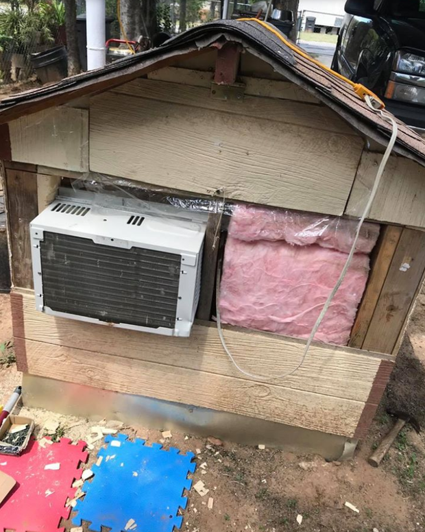 Ch&uacute; ch&oacute; sinh ra ở vạch đ&iacute;ch: Chuồng biệt phủ c&oacute; điều h&ograve;a, m&aacute;i c&aacute;ch nhiệt, s&agrave;n ng&oacute;i m&aacute;t mẻ quanh năm - Ảnh 2.