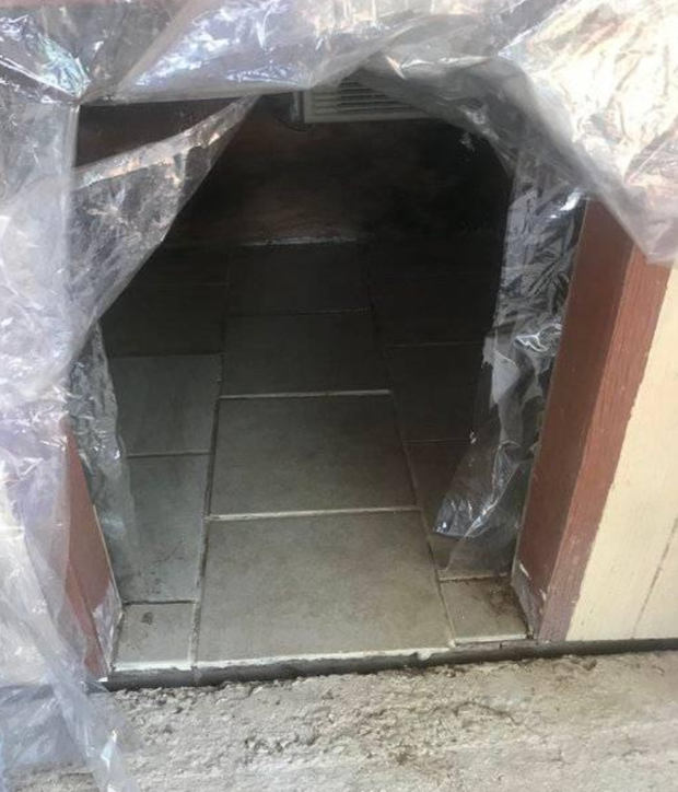 Ch&uacute; ch&oacute; sinh ra ở vạch đ&iacute;ch: Chuồng biệt phủ c&oacute; điều h&ograve;a, m&aacute;i c&aacute;ch nhiệt, s&agrave;n ng&oacute;i m&aacute;t mẻ quanh năm - Ảnh 3.