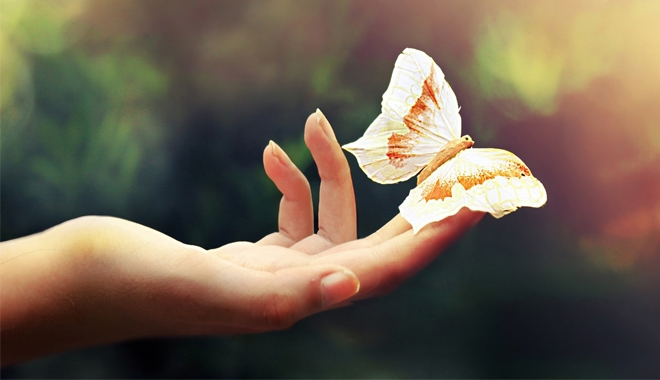 Hiệu ứng c&aacute;nh bướm l&agrave; sai, c&aacute;c nh&agrave; khoa học đ&atilde; chứng minh được điều n&agrave;y ở cấp độ lượng tử - Ảnh 1.