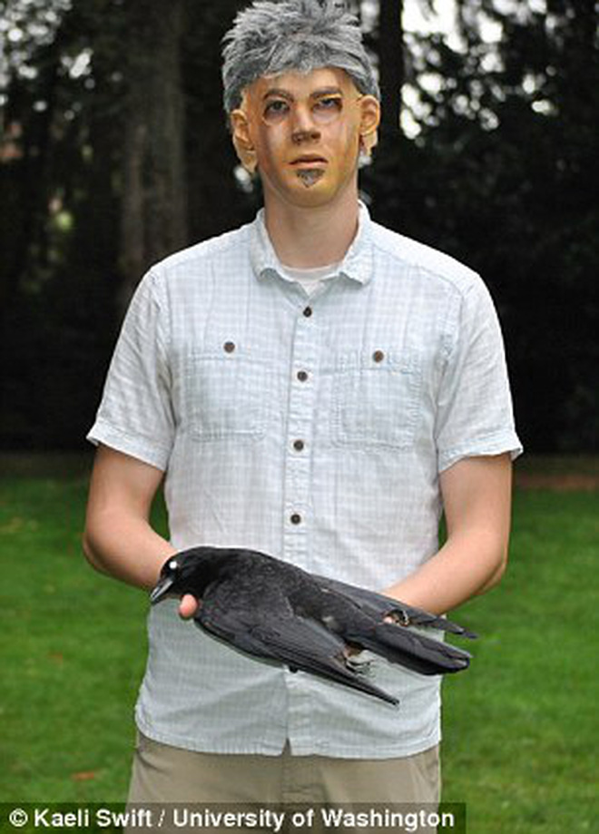 Giải m&atilde; nghi lễ đ&aacute;m ma quạ: Quạ cũng biết kh&oacute;c thương cho đồng loại qua đời nhưng thực tế chỉ l&agrave; h&agrave;nh vi v&igrave; lợi &iacute;ch của bản th&acirc;n? - Ảnh 4.