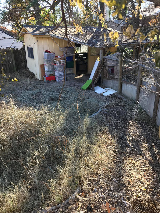 Bỏ gần 500 triệu đồng mua căn nh&agrave; cũ n&aacute;t, người đ&agrave;n &ocirc;ng bất ngờ ph&aacute;t hiện kho b&aacute;u trị gi&aacute; gần 4 tỉ ngay ph&iacute;a sau s&acirc;n chỉ nhờ một trận b&atilde;o - Ảnh 1.