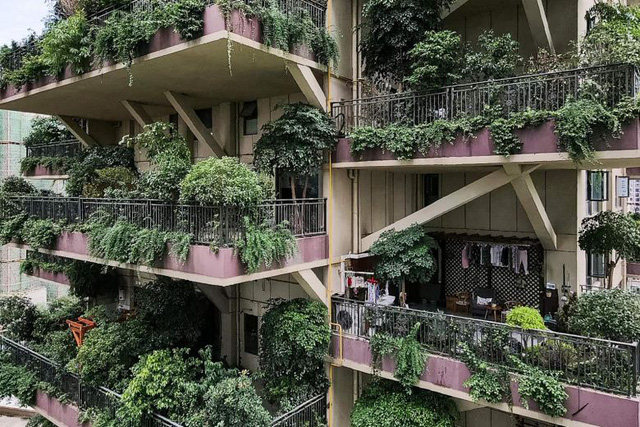  Trung Quốc tham vọng x&acirc;y thi&ecirc;n đường sinh th&aacute;i nhưng lại h&oacute;a th&agrave;nh phố ma v&igrave;&hellip; muỗi  - Ảnh 2.