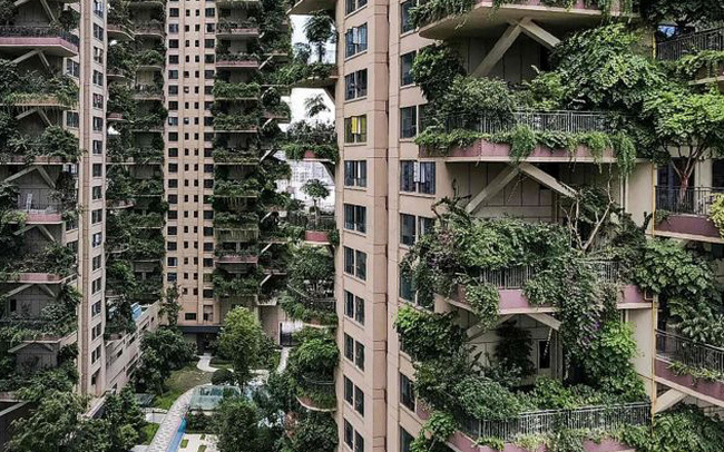  Trung Quốc tham vọng x&acirc;y thi&ecirc;n đường sinh th&aacute;i nhưng lại h&oacute;a th&agrave;nh phố ma v&igrave;&hellip; muỗi  - Ảnh 1.