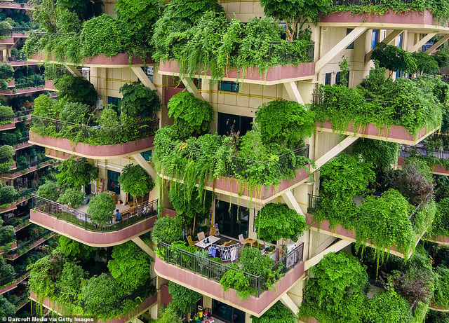  Trung Quốc tham vọng x&acirc;y thi&ecirc;n đường sinh th&aacute;i nhưng lại h&oacute;a th&agrave;nh phố ma v&igrave;&hellip; muỗi  - Ảnh 4.