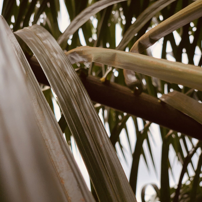 T&igrave;m thấy điện thoại bị trộm ngập trong b&ugrave;n lầy, thanh ni&ecirc;n bất ngờ hơn khi ph&aacute;t hiện loạt video v&agrave; ảnh tự sướng của kẻ lạ mặt - Ảnh 2.