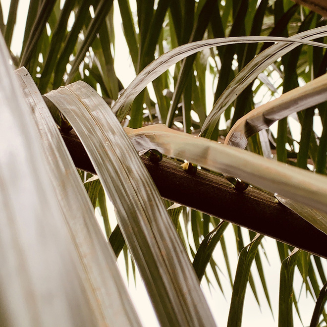 T&igrave;m thấy điện thoại bị trộm ngập trong b&ugrave;n lầy, thanh ni&ecirc;n bất ngờ hơn khi ph&aacute;t hiện loạt video v&agrave; ảnh tự sướng của kẻ lạ mặt - Ảnh 3.