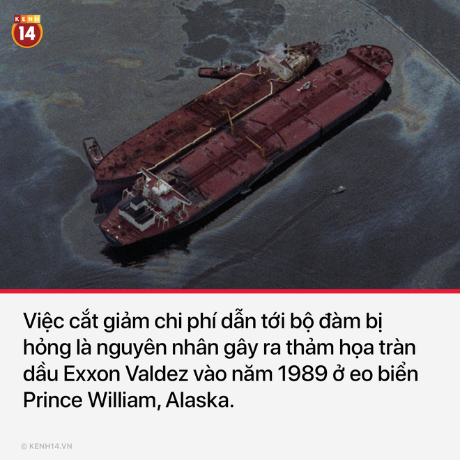 10 quyết định sai lầm chí mạng trong lịch sử khiến nhân loại tiếc ngẩn ngơ mà chẳng thể làm được gì - Ảnh 5. 10 quyết định sai lầm chí mạng trong lịch sử khiến nhân loại tiếc ngẩn ngơ mà chẳng thể làm được gì - Ảnh 5.