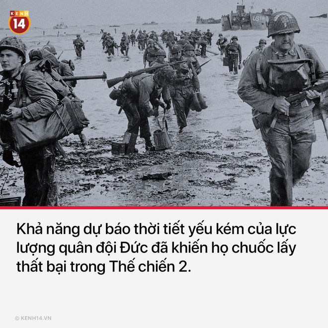 10 quyết định sai lầm chí mạng trong lịch sử khiến nhân loại tiếc ngẩn ngơ mà chẳng thể làm được gì - Ảnh 8. 10 quyết định sai lầm chí mạng trong lịch sử khiến nhân loại tiếc ngẩn ngơ mà chẳng thể làm được gì - Ảnh 8.