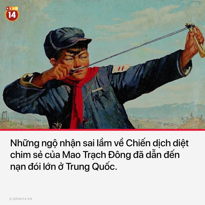 10 quyết định sai lầm chí mạng trong lịch sử khiến nhân loại tiếc ngẩn ngơ mà chẳng thể làm được gì - Ảnh 9. 10 quyết định sai lầm chí mạng trong lịch sử khiến nhân loại tiếc ngẩn ngơ mà chẳng thể làm được gì - Ảnh 9.