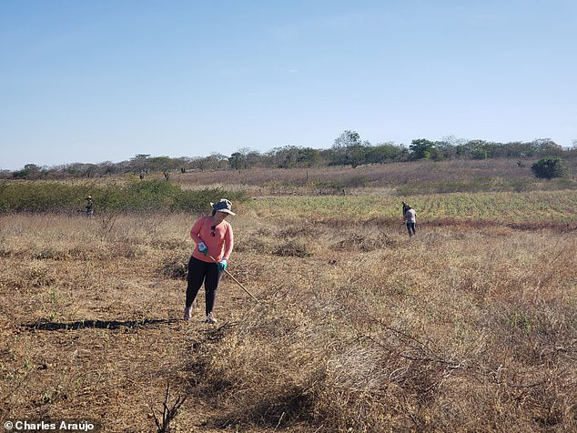 Đ&uacute;ng nghĩa tiền từ tr&ecirc;n trời rơi xuống: H&agrave;ng trăm mảnh thi&ecirc;n thạch trị gi&aacute; cả chục ngh&igrave;n đ&ocirc; đ&aacute;p xuống thị trấn gi&uacute;p nhiều người đổi đời  - Ảnh 6.