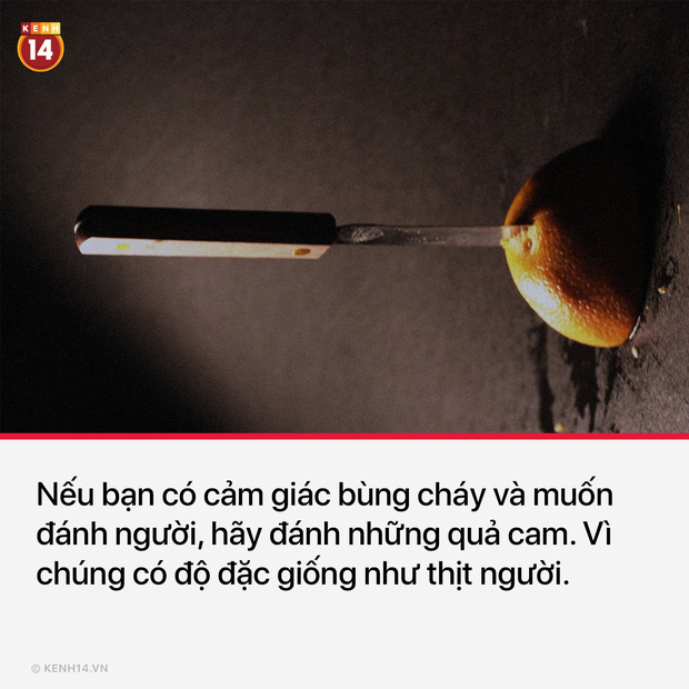 13 sự thật th&uacute; vị v&agrave; kỳ quặc sẽ khiến mọi người phải thốt l&ecirc;n Sao cậu lại biết c&aacute;i thứ n&agrave;y?? - Ảnh 1.