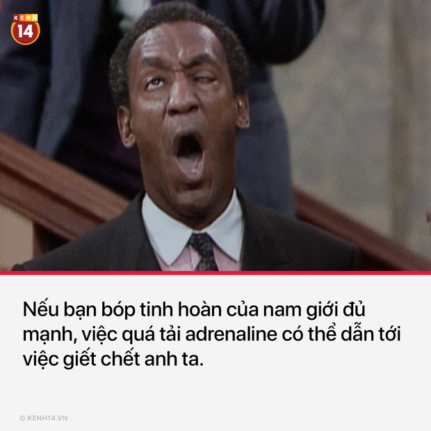 13 sự thật th&uacute; vị v&agrave; kỳ quặc sẽ khiến mọi người phải thốt l&ecirc;n Sao cậu lại biết c&aacute;i thứ n&agrave;y?? - Ảnh 12.