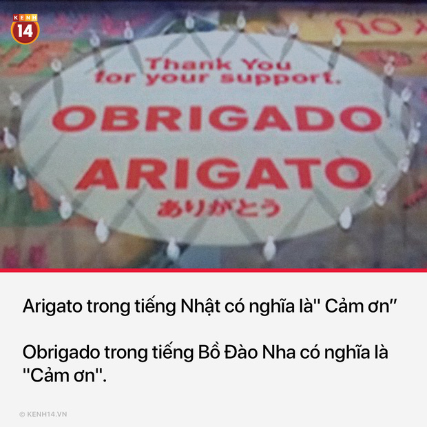 13 sự thật th&uacute; vị v&agrave; kỳ quặc sẽ khiến mọi người phải thốt l&ecirc;n Sao cậu lại biết c&aacute;i thứ n&agrave;y?? - Ảnh 13.