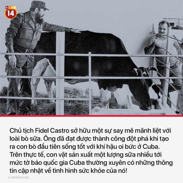 13 sự thật th&uacute; vị v&agrave; kỳ quặc sẽ khiến mọi người phải thốt l&ecirc;n Sao cậu lại biết c&aacute;i thứ n&agrave;y?? - Ảnh 3.