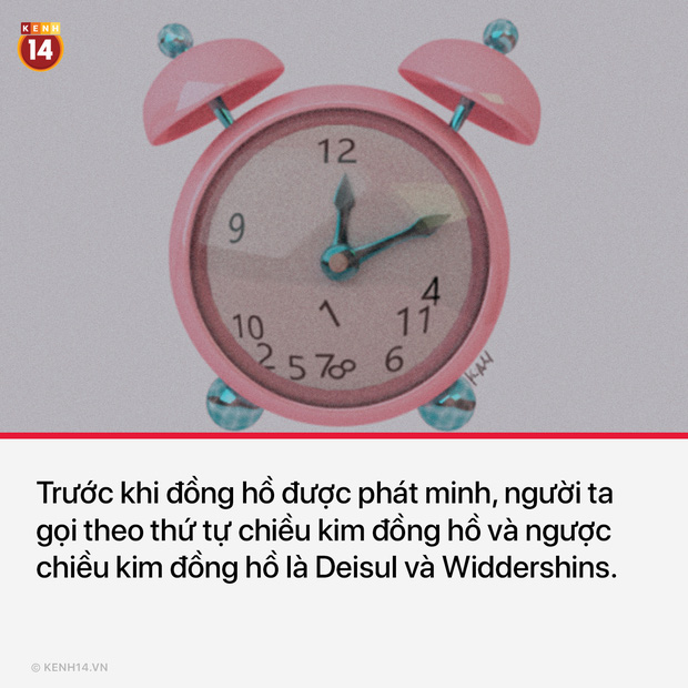 13 sự thật th&uacute; vị v&agrave; kỳ quặc sẽ khiến mọi người phải thốt l&ecirc;n Sao cậu lại biết c&aacute;i thứ n&agrave;y?? - Ảnh 4.