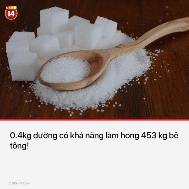 13 sự thật th&uacute; vị v&agrave; kỳ quặc sẽ khiến mọi người phải thốt l&ecirc;n Sao cậu lại biết c&aacute;i thứ n&agrave;y?? - Ảnh 6.