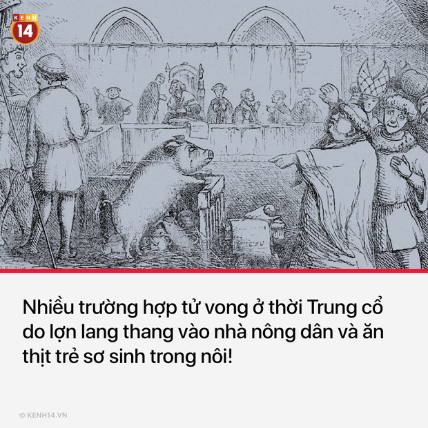 13 sự thật th&uacute; vị v&agrave; kỳ quặc sẽ khiến mọi người phải thốt l&ecirc;n Sao cậu lại biết c&aacute;i thứ n&agrave;y?? - Ảnh 8.