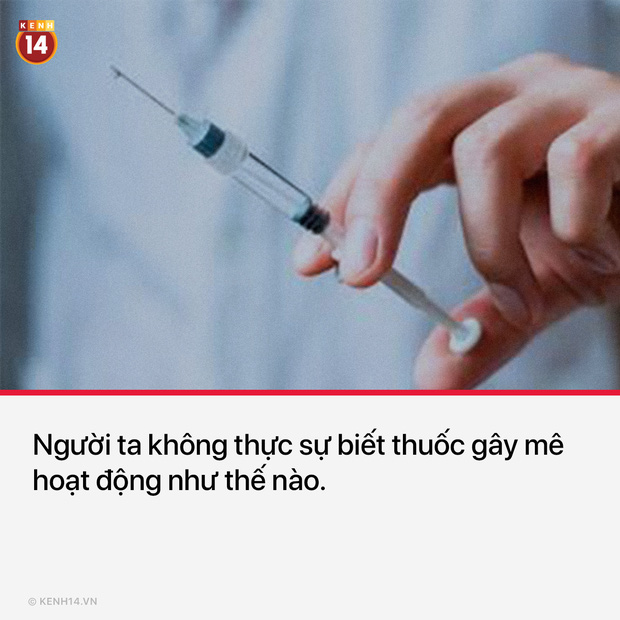 13 sự thật th&uacute; vị v&agrave; kỳ quặc sẽ khiến mọi người phải thốt l&ecirc;n Sao cậu lại biết c&aacute;i thứ n&agrave;y?? - Ảnh 10.