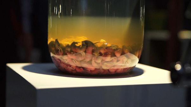 Menu rượu chưa uống đ&atilde; n&ocirc;n khiến thực kh&aacute;ch kh&oacute;c th&eacute;t tại Bảo t&agrave;ng đồ ăn kinh tởm ở Thụy Điển - Ảnh 2.