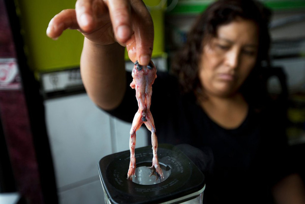 Menu rượu chưa uống đ&atilde; n&ocirc;n khiến thực kh&aacute;ch kh&oacute;c th&eacute;t tại Bảo t&agrave;ng đồ ăn kinh tởm ở Thụy Điển - Ảnh 3.