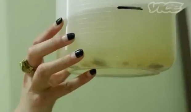 Menu rượu chưa uống đ&atilde; n&ocirc;n khiến thực kh&aacute;ch kh&oacute;c th&eacute;t tại Bảo t&agrave;ng đồ ăn kinh tởm ở Thụy Điển - Ảnh 9.