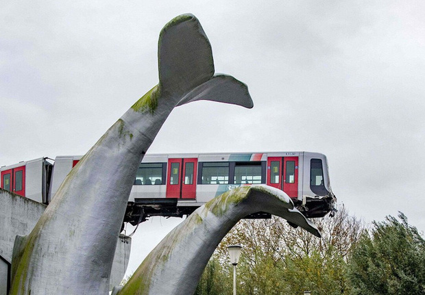  Loạt ảnh ấn tượng nhất năm 2020: Những mảng m&agrave;u sắc th&uacute; vị che lấp đi một năm ảm đạm, Việt Nam cũng g&oacute;p mặt với t&aacute;c phẩm tuyệt mỹ  - Ảnh 2.