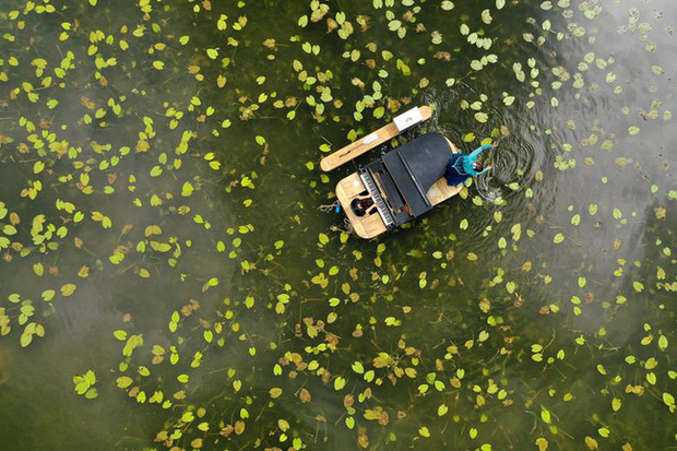  Loạt ảnh ấn tượng nhất năm 2020: Những mảng m&agrave;u sắc th&uacute; vị che lấp đi một năm ảm đạm, Việt Nam cũng g&oacute;p mặt với t&aacute;c phẩm tuyệt mỹ  - Ảnh 15.