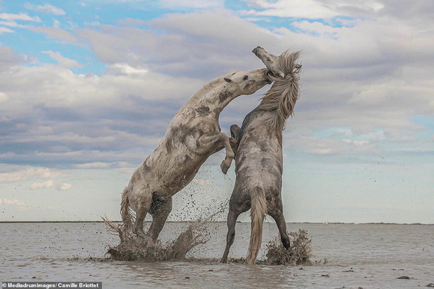  Loạt ảnh ấn tượng nhất năm 2020: Những mảng m&agrave;u sắc th&uacute; vị che lấp đi một năm ảm đạm, Việt Nam cũng g&oacute;p mặt với t&aacute;c phẩm tuyệt mỹ  - Ảnh 18.