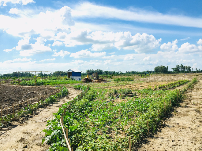  Từ Israel, vợ chồng 9x về qu&ecirc; l&agrave;m n&ocirc;ng nghiệp kh&ocirc;ng h&oacute;a chất: Biến đất cứng như đ&aacute; th&agrave;nh vườn dược liệu xanh mướt, sống rất hạnh ph&uacute;c!  - Ảnh 4.