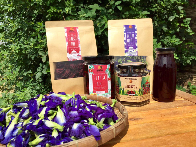  Từ Israel, vợ chồng 9x về qu&ecirc; l&agrave;m n&ocirc;ng nghiệp kh&ocirc;ng h&oacute;a chất: Biến đất cứng như đ&aacute; th&agrave;nh vườn dược liệu xanh mướt, sống rất hạnh ph&uacute;c!  - Ảnh 9.