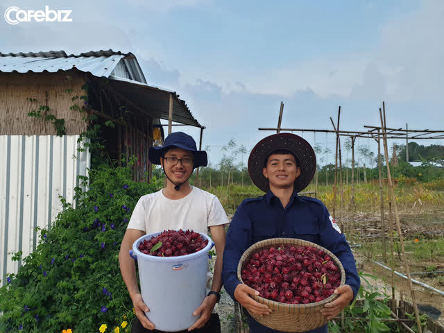  Từ Israel, vợ chồng 9x về qu&ecirc; l&agrave;m n&ocirc;ng nghiệp kh&ocirc;ng h&oacute;a chất: Biến đất cứng như đ&aacute; th&agrave;nh vườn dược liệu xanh mướt, sống rất hạnh ph&uacute;c!  - Ảnh 10.