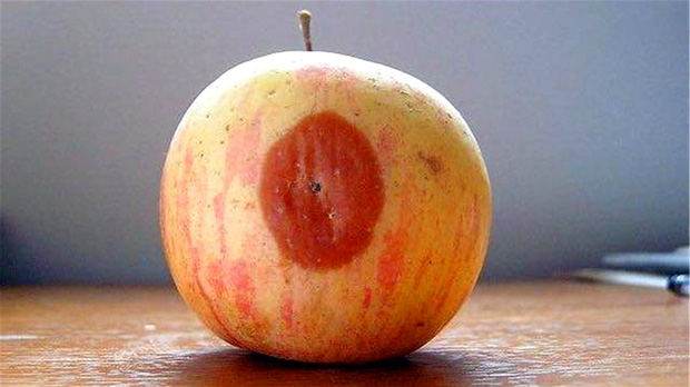  Ch&agrave;ng trai 33 tuổi kh&ocirc;ng thuốc l&aacute;, rượu bia nhưng mắc ung thư gan giai đoạn cuối chỉ v&igrave; qu&aacute;... tiết kiệm  - Ảnh 2.