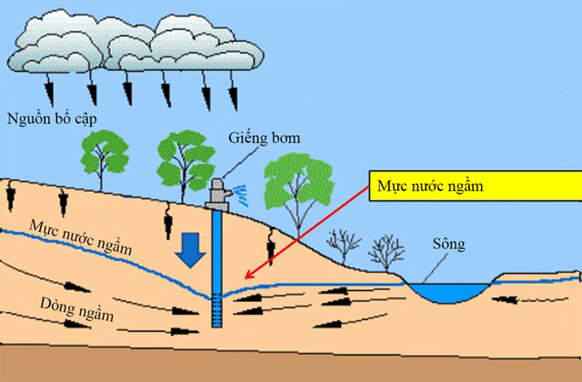  Reaction phẫn nộ của người d&ugrave;ng YouTube về best cut Cứu bưởi phim Trạng T&iacute; trước khi video bị x&oacute;a  - Ảnh 5.
