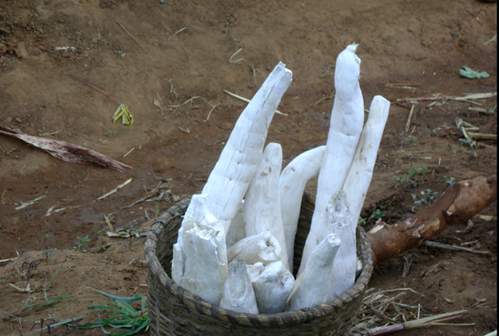 H&agrave;ng chục ngh&igrave;n d&acirc;n l&agrave;ng bị t&ecirc; liệt một c&aacute;ch kỳ lạ v&agrave; căn bệnh b&iacute; ẩn kh&ocirc;ng li&ecirc;n quan đến vi khuẩn v&agrave; vi r&uacute;t đ&atilde; khiến c&aacute;c chuy&ecirc;n gia phải đau đầu - Ảnh 5.