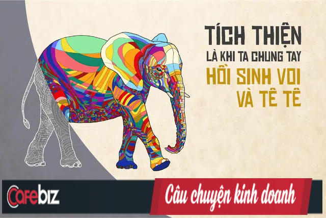  13 năm, c&oacute; hơn 9.500 con t&ecirc; gi&aacute;c, 35.000 con voi v&agrave; 100.000 t&ecirc; t&ecirc; bị giết, USAID k&ecirc;u gọi: Ngưng tạo nghiệp! T&iacute;ch thiện chung tay hồi sinh sự sống cho voi, t&ecirc; t&ecirc;  - Ảnh 2.