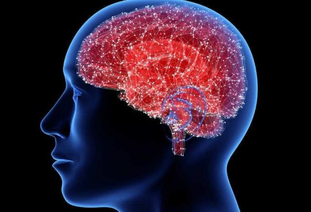 Tin tôi đi, cãi nhau với hàng xóm có thể dẫn đến tử vong vì tổn thương não, tim hoặc gan - Ảnh 4. Tin tôi đi, cãi nhau với hàng xóm có thể dẫn đến tử vong vì tổn thương não, tim hoặc gan - Ảnh 4.