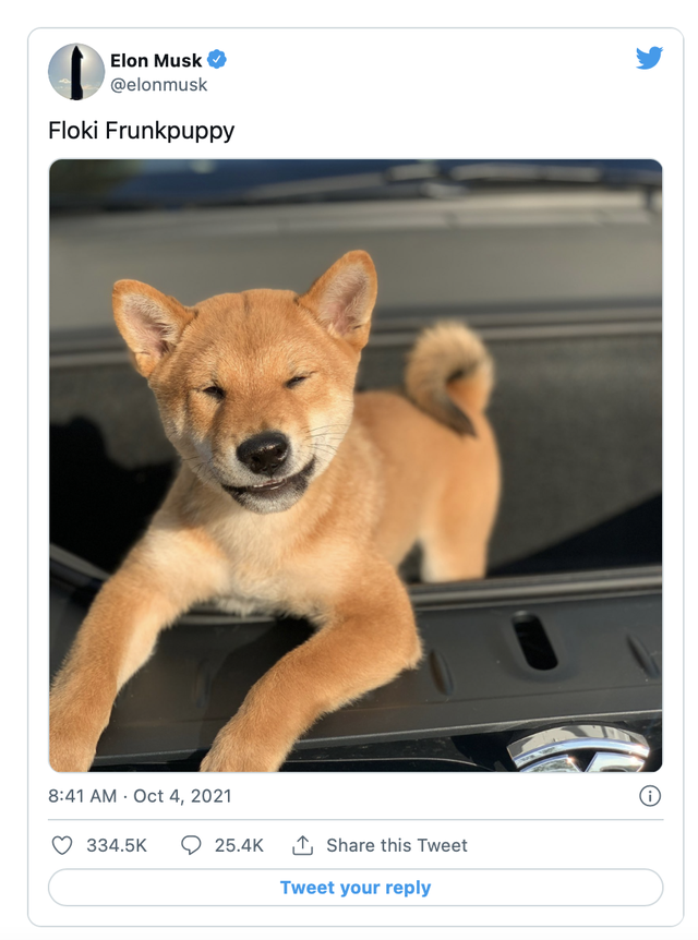  Nhờ Elon Musk, một đồng tiền số tăng gi&aacute; 216% trong 1 tuần  - Ảnh 1.