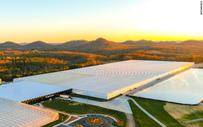 Tương lai của nông nghiệp bên trong nhà kính lớn nhất nước Mỹ: Sử dụng robot, AI và dữ liệu để trồng 22.500 tấn cà chua mỗi năm - Ảnh 1. Tương lai của nông nghiệp bên trong nhà kính lớn nhất nước Mỹ: Sử dụng robot, AI và dữ liệu để trồng 22.500 tấn cà chua mỗi năm - Ảnh 1.