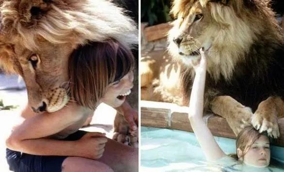 Nu&ocirc;i hổ v&agrave; sư tử ở trong nh&agrave; l&agrave; trải nghiệm như thế n&agrave;o? - Ảnh 7.