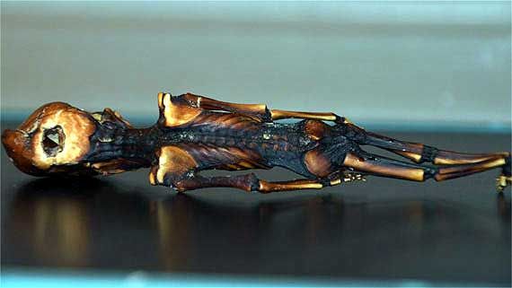 Giải m&atilde; bộ xương t&iacute; hon tr&ocirc;ng giống như người ngo&agrave;i h&agrave;nh tinh dưới g&oacute;c nh&igrave;n khoa học - Ảnh 3.