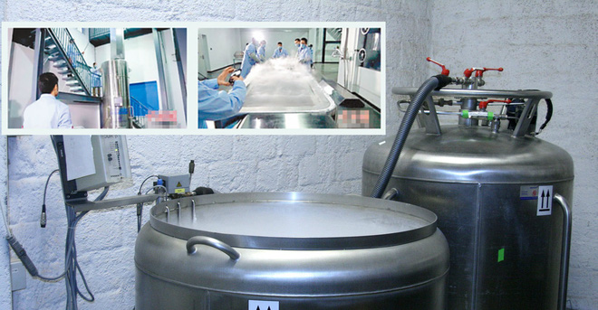 Nhu cầu ngủ trong tủ đá tăng cực mạnh giữa dịch COVID-19: TQ thống trị công nghệ bất tử? - Ảnh 3. Nhu cầu ngủ trong tủ đá tăng cực mạnh giữa dịch COVID-19: TQ thống trị công nghệ bất tử? - Ảnh 3.