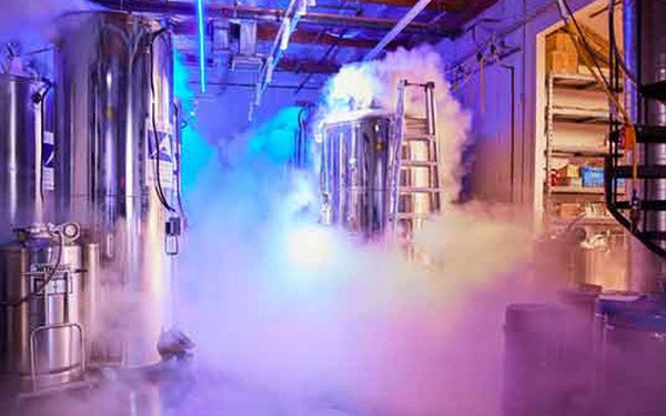 Nhu cầu ngủ trong tủ đá tăng cực mạnh giữa dịch COVID-19: TQ thống trị công nghệ bất tử? - Ảnh 1. Nhu cầu ngủ trong tủ đá tăng cực mạnh giữa dịch COVID-19: TQ thống trị công nghệ bất tử? - Ảnh 1.