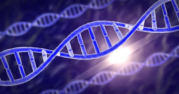 Tại sao một số người có thể ăn mãi mà không béo? - Ảnh 2. Tại sao một số người có thể ăn mãi mà không béo? - Ảnh 2.