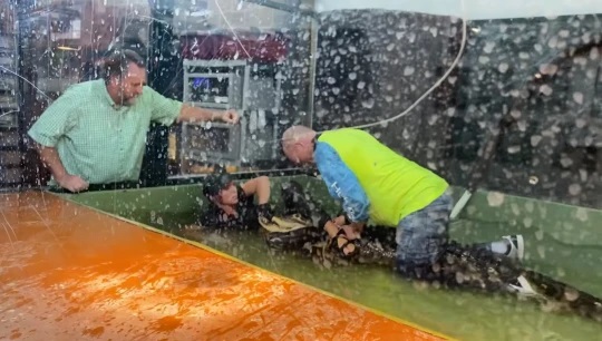 Video triệu view th&oacute;t tim: Đang tổ chức sinh nhật con, &ocirc;ng bố dũng cảm x&ocirc;ng v&agrave;o đ&aacute;nh nhau với c&aacute; sấu để cứu người - Ảnh 3.