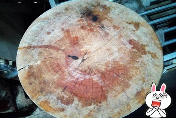 Dùng đã lâu liệu các bạn có biết thớt sẽ bẩn gấp 69,96% lần bồn cầu nếu không vệ sinh đúng cách - Ảnh 1. Dùng đã lâu liệu các bạn có biết thớt sẽ bẩn gấp 69,96% lần bồn cầu nếu không vệ sinh đúng cách - Ảnh 1.