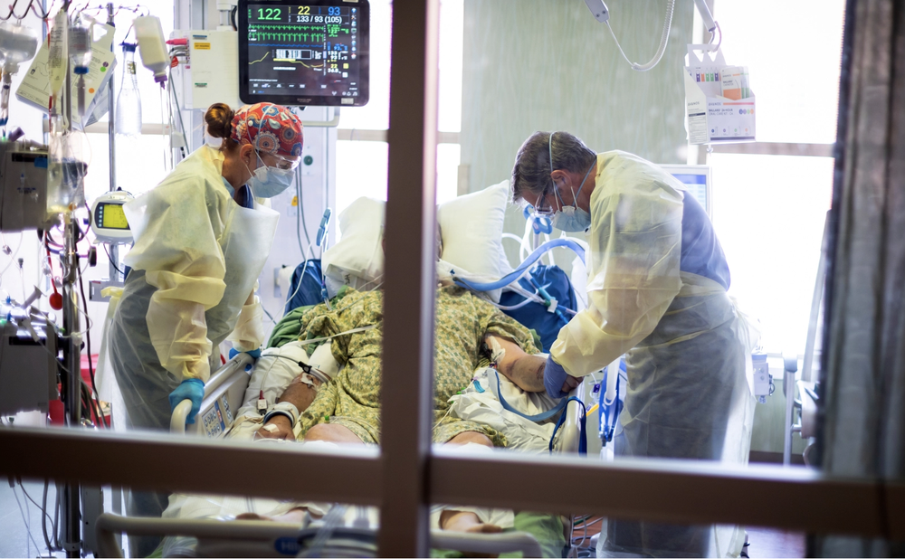 - Ảnh 1. - Ảnh 1.