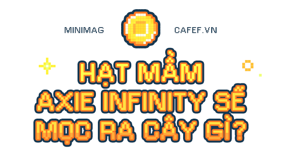 Bong bóng GameFi từ góc nhìn của CEO Sky Mavis: Đâu là hạt giống tốt và đâu là hạt giống hỏng? - Ảnh 4. Bong bóng GameFi từ góc nhìn của CEO Sky Mavis: Đâu là hạt giống tốt và đâu là hạt giống hỏng? - Ảnh 4.