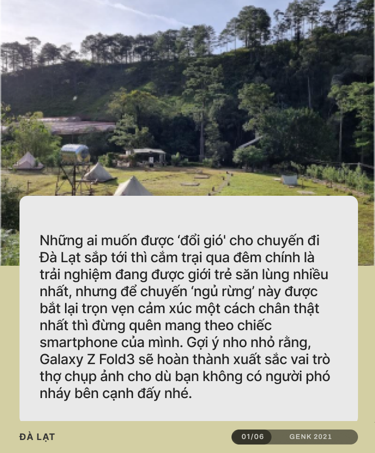 Cảnh rừng thông Đà Lạt qua ZFlip3, cuộc sống rất cần những lúc như thế này - Ảnh 1. Cảnh rừng thông Đà Lạt qua ZFlip3, cuộc sống rất cần những lúc như thế này - Ảnh 1.