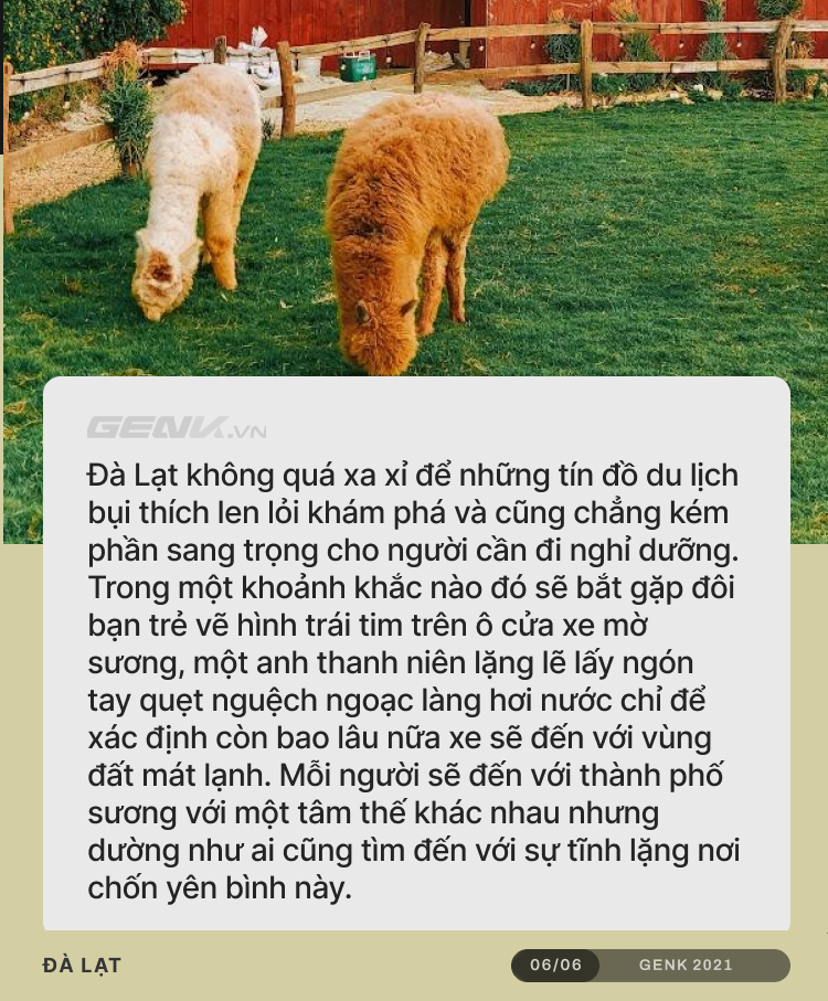 Cảnh rừng thông Đà Lạt qua ZFlip3, cuộc sống rất cần những lúc như thế này - Ảnh 6. Cảnh rừng thông Đà Lạt qua ZFlip3, cuộc sống rất cần những lúc như thế này - Ảnh 6.